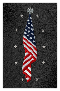 DF35T 421 SH BK Flag at Rest Shimmer Black